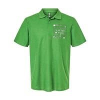 St Patrick's Day Paddy Irish Day Graphic Softstyle Adult Sport Polo