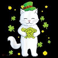 St Patrick's Day Cat Leprechaun Cat Lover Shamrock Pom Pom 12in Knit Beanie