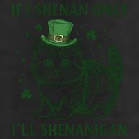 St Patricks Day If I Shenan Once I’Ll Shenanigan Funny Cat Tumbler