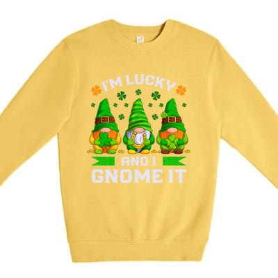 St Patrick's Day Irish Gnomes Funny Saying Gift Premium Crewneck Sweatshirt