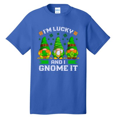 St Patrick's Day Irish Gnomes Funny Saying Gift Tall T-Shirt