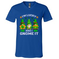 St Patrick's Day Irish Gnomes Funny Saying Gift V-Neck T-Shirt