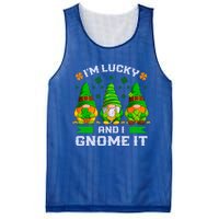 St Patrick's Day Irish Gnomes Funny Saying Gift Mesh Reversible Basketball Jersey Tank