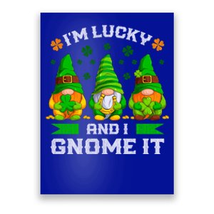 St Patrick's Day Irish Gnomes Funny Saying Gift Poster