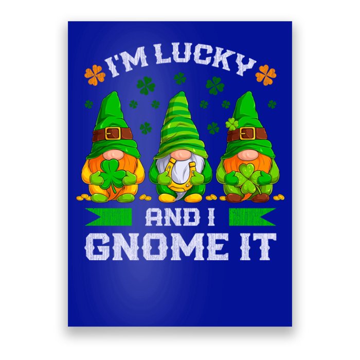 St Patrick's Day Irish Gnomes Funny Saying Gift Poster