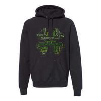 Saint Patrick's Day March 17 Pot Of Gold, Party Shenanigans Premium Hoodie