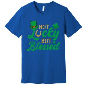 St Patricks Day Funny Gift Premium T-Shirt