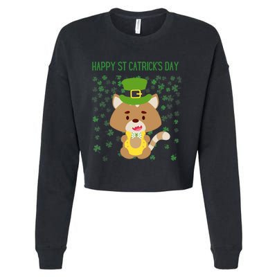 St Patricks Day Funny Cat Lovers Happy St Catricks Day Cropped Pullover Crew