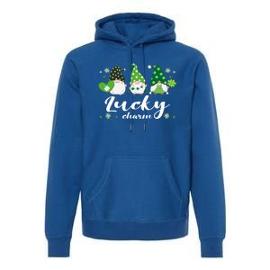 St Patricks Day Green Gnomes Irish Saying Gift Premium Hoodie