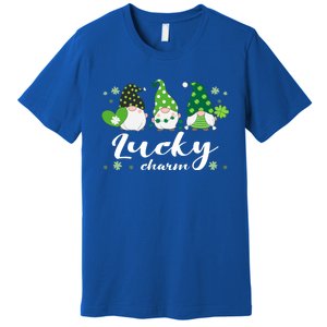 St Patricks Day Green Gnomes Irish Saying Gift Premium T-Shirt