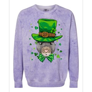 St Patrick's Day Leprechaun Rat Mouse Shamrock Rat Lover Gift Colorblast Crewneck Sweatshirt