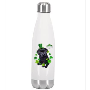 St Patrick's Day Irish Saint Patrick Shamrock Labrador Puppy Stainless Steel Insulated Water Bottle