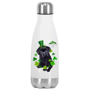 St Patrick's Day Irish Saint Patrick Shamrock Labrador Puppy Stainless Steel Insulated Water Bottle