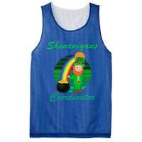 St Patricks Day Leprechaun Shenanigans Coordinator Rainbow Gift Mesh Reversible Basketball Jersey Tank