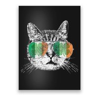 St Patrick's Day Cat Tricks Irish Saint Catty's Shamrock Poster