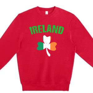 St Patrick's Day Ireland Flag Shamrock Symbol Funny Gift Premium Crewneck Sweatshirt