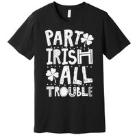 Saint Patrick's Day Part Irish All Trouble Funny Premium T-Shirt