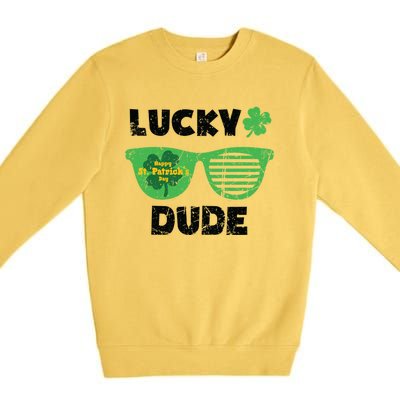 St Patrick's Day Vintage Funny Irish Lucky Dude Cute Gift Premium Crewneck Sweatshirt