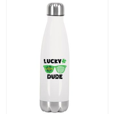 St Patrick's Day Vintage Funny Irish Lucky Dude Cute Gift Stainless Steel Insulated Water Bottle