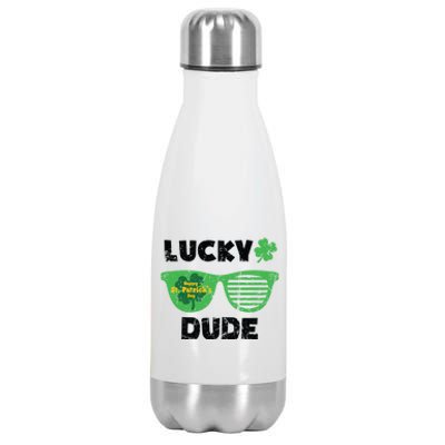 St Patrick's Day Vintage Funny Irish Lucky Dude Cute Gift Stainless Steel Insulated Water Bottle