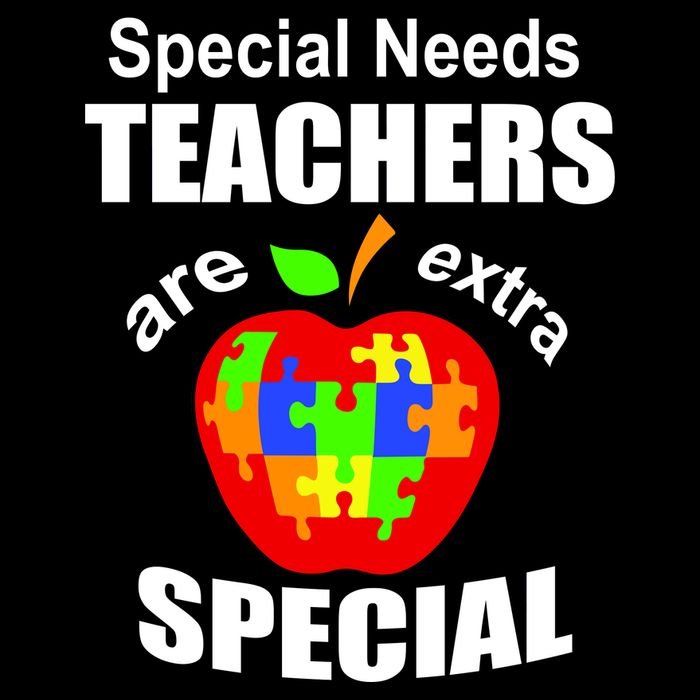 Special Needs Teachers Are Extra Special T-Shirt