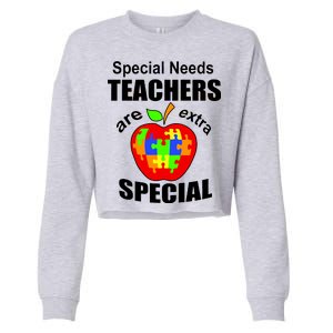 Special Needs Teachers Are Extra Special Cropped Pullover Crew