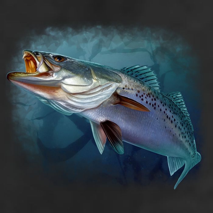 Speck Trout Fish 25L Jumbo Tote