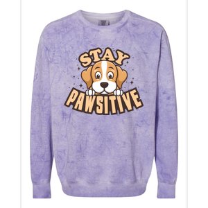 Stay Pawsitive Funny Dog Mom And Dad Love Dog Lover Great Gift Colorblast Crewneck Sweatshirt