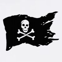 Skull Pirate Flag Jolly Roger Crossbones Flatbill Hat
