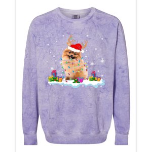 Santa Pomeranian Funny Christmas Lights Santa Reindeer Dog Great Gift Colorblast Crewneck Sweatshirt