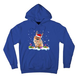 Santa Pomeranian Funny Christmas Lights Santa Reindeer Dog Great Gift Hoodie