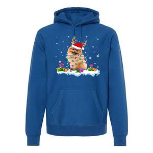 Santa Pomeranian Funny Christmas Lights Santa Reindeer Dog Great Gift Premium Hoodie