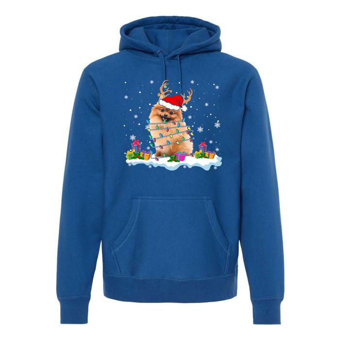 Santa Pomeranian Funny Christmas Lights Santa Reindeer Dog Great Gift Premium Hoodie