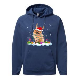 Santa Pomeranian Funny Christmas Lights Santa Reindeer Dog Great Gift Performance Fleece Hoodie