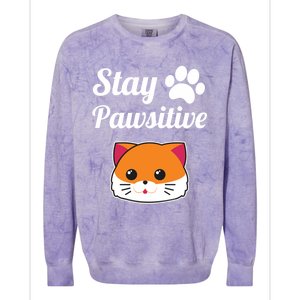 Stay Pawsitive Funny Cat Lover Motivational Gift Colorblast Crewneck Sweatshirt