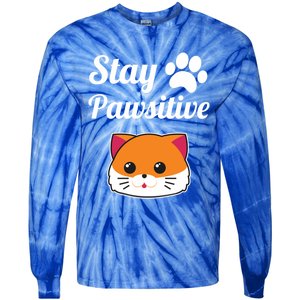 Stay Pawsitive Funny Cat Lover Motivational Gift Tie-Dye Long Sleeve Shirt