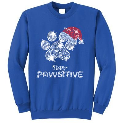 Stay Pawsitive Funny Dog Santa Hat Christmas Gift Meaningful Gift Tall Sweatshirt