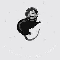 Space Possum Funny Introvert Anxiety Outer Space Womens Funnel Neck Pullover Hood