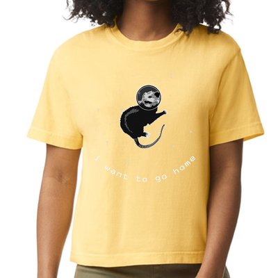 Space Possum Funny Introvert Anxiety Outer Space Comfort Colors Boxy T-Shirt
