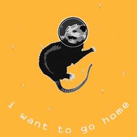 Space Possum Funny Introvert Anxiety Outer Space Sustainable Knit Beanie