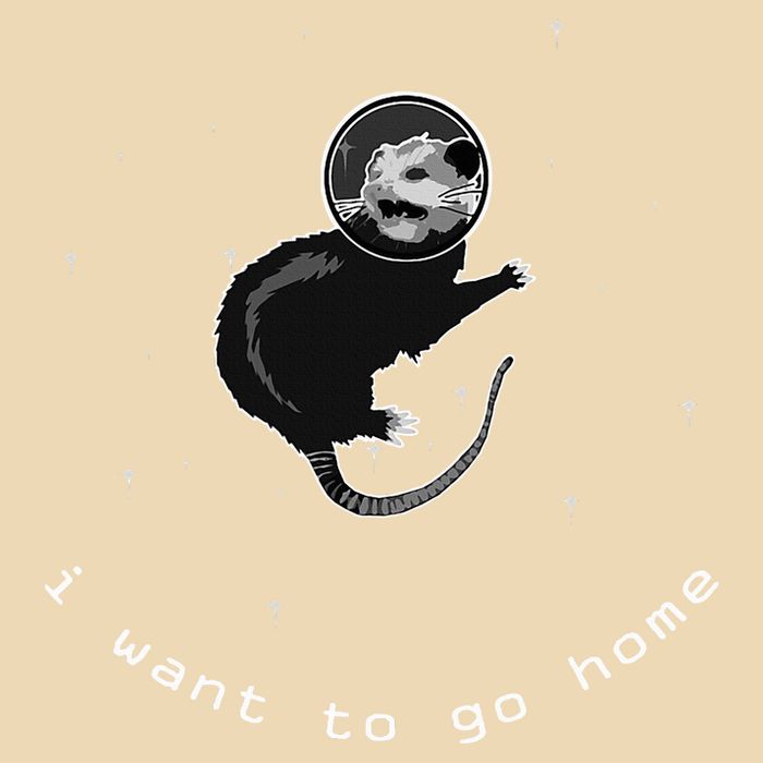 Space Possum Funny Introvert Anxiety Outer Space Drawstring Bag