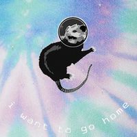 Space Possum Funny Introvert Anxiety Outer Space Legacy Tie Dye Trucker Hat