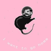 Space Possum Funny Introvert Anxiety Outer Space Button