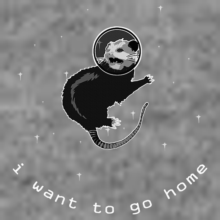 Space Possum Funny Introvert Anxiety Outer Space 7-Panel Snapback Hat