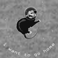 Space Possum Funny Introvert Anxiety Outer Space Sustainable Beanie