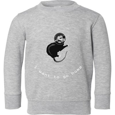 Space Possum Funny Introvert Anxiety Outer Space Toddler Sweatshirt