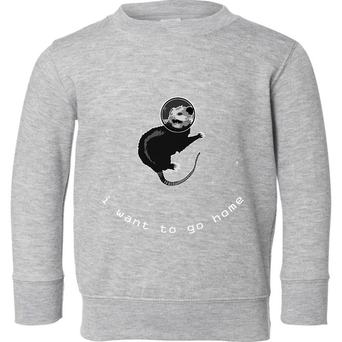Space Possum Funny Introvert Anxiety Outer Space Toddler Sweatshirt