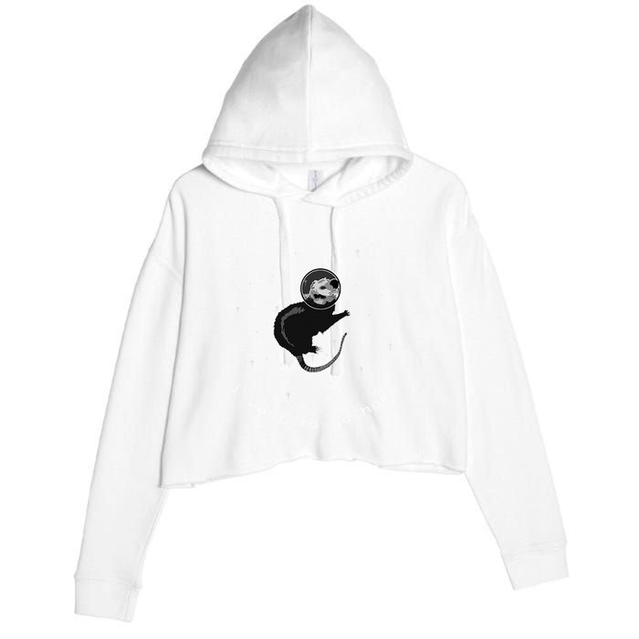 Space Possum Funny Introvert Anxiety Outer Space Crop Fleece Hoodie