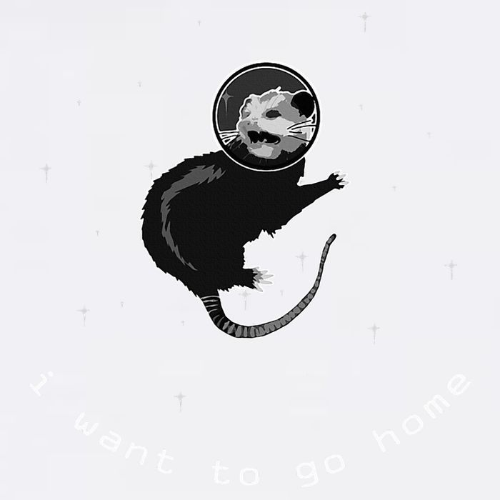 Space Possum Funny Introvert Anxiety Outer Space Trucker Hat