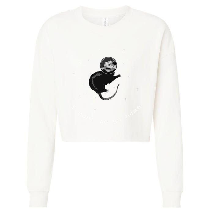 Space Possum Funny Introvert Anxiety Outer Space Cropped Pullover Crew